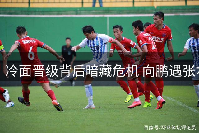 冷面晋级背后暗藏危机 向鹏遇张本智和将迎生死战