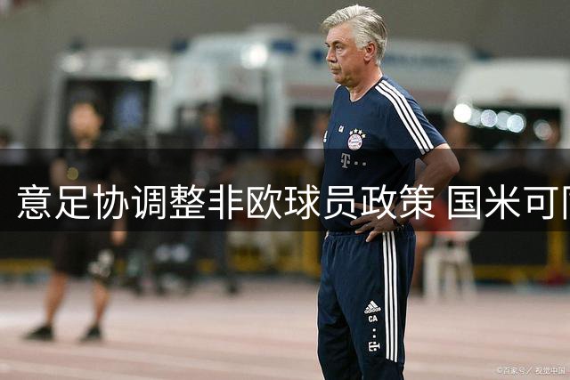 意足协调整非欧球员政策 国米可同时签下三名英格兰国脚